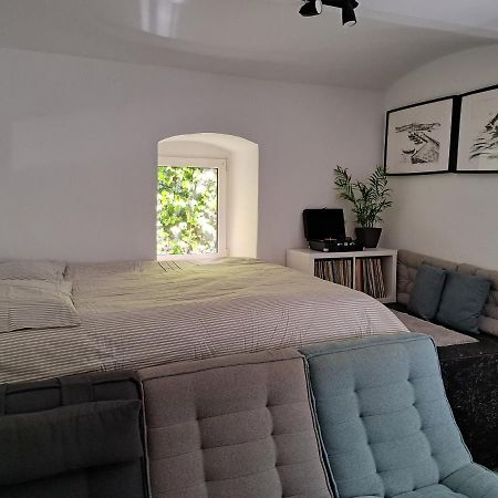 City Centar Apartman With Garden Apartment ซาเกร็บ ภายนอก รูปภาพ