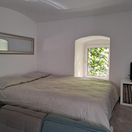 City Centar Apartman With Garden Apartment ซาเกร็บ ภายนอก รูปภาพ