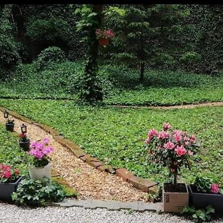City Centar Apartman With Garden Apartment ซาเกร็บ ภายนอก รูปภาพ