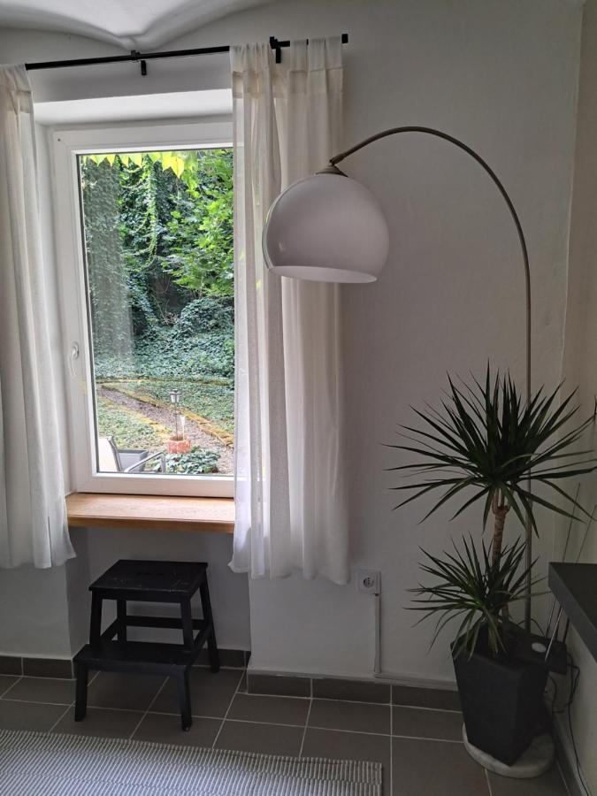 City Centar Apartman With Garden Apartment ซาเกร็บ ภายนอก รูปภาพ
